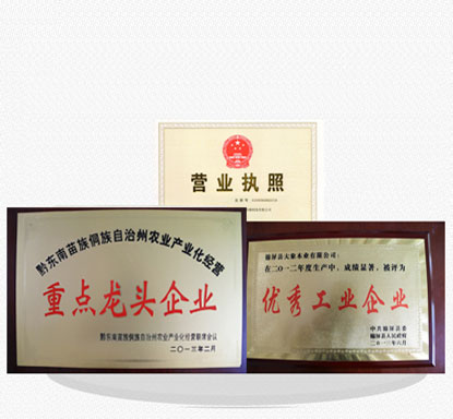 專(zhuān)業(yè)的技術(shù)團(tuán)隊(duì)，為客戶(hù)私人定制